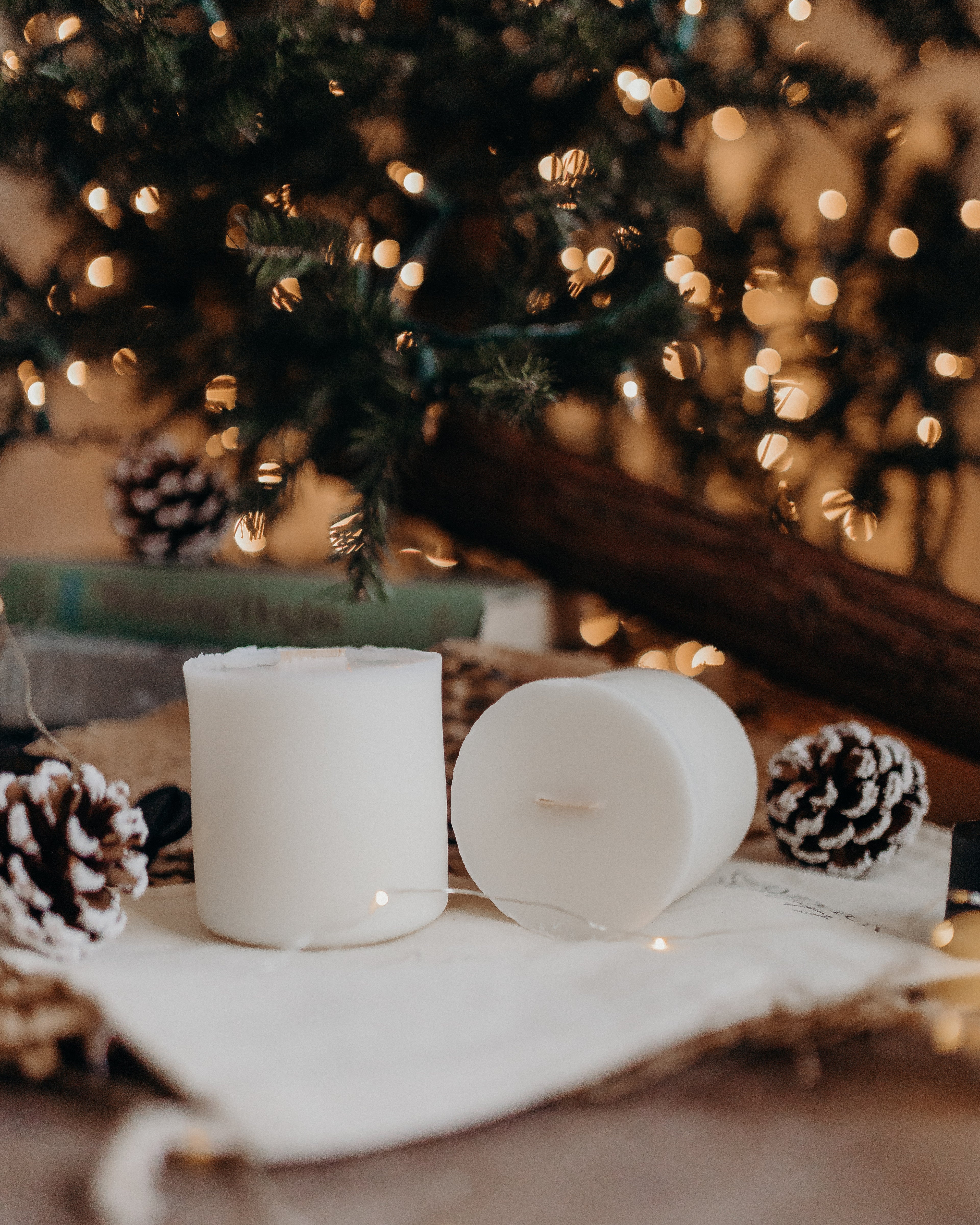 No. 1 || Frosted Pine